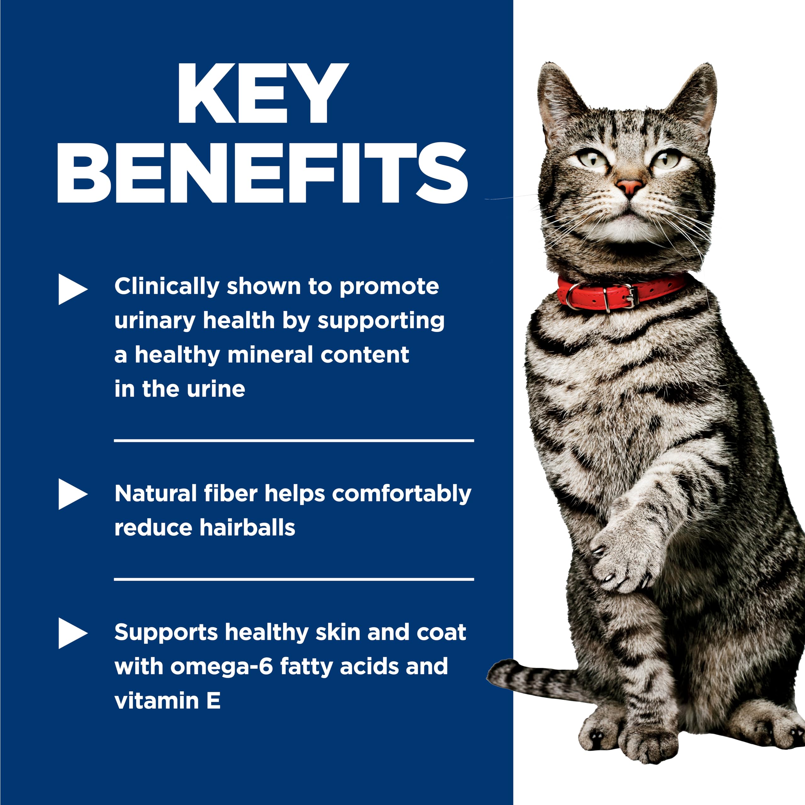 Hill's Science Diet chat-antioxydants-vitamineC-E : antioxydants pour soutenir l'immunité.