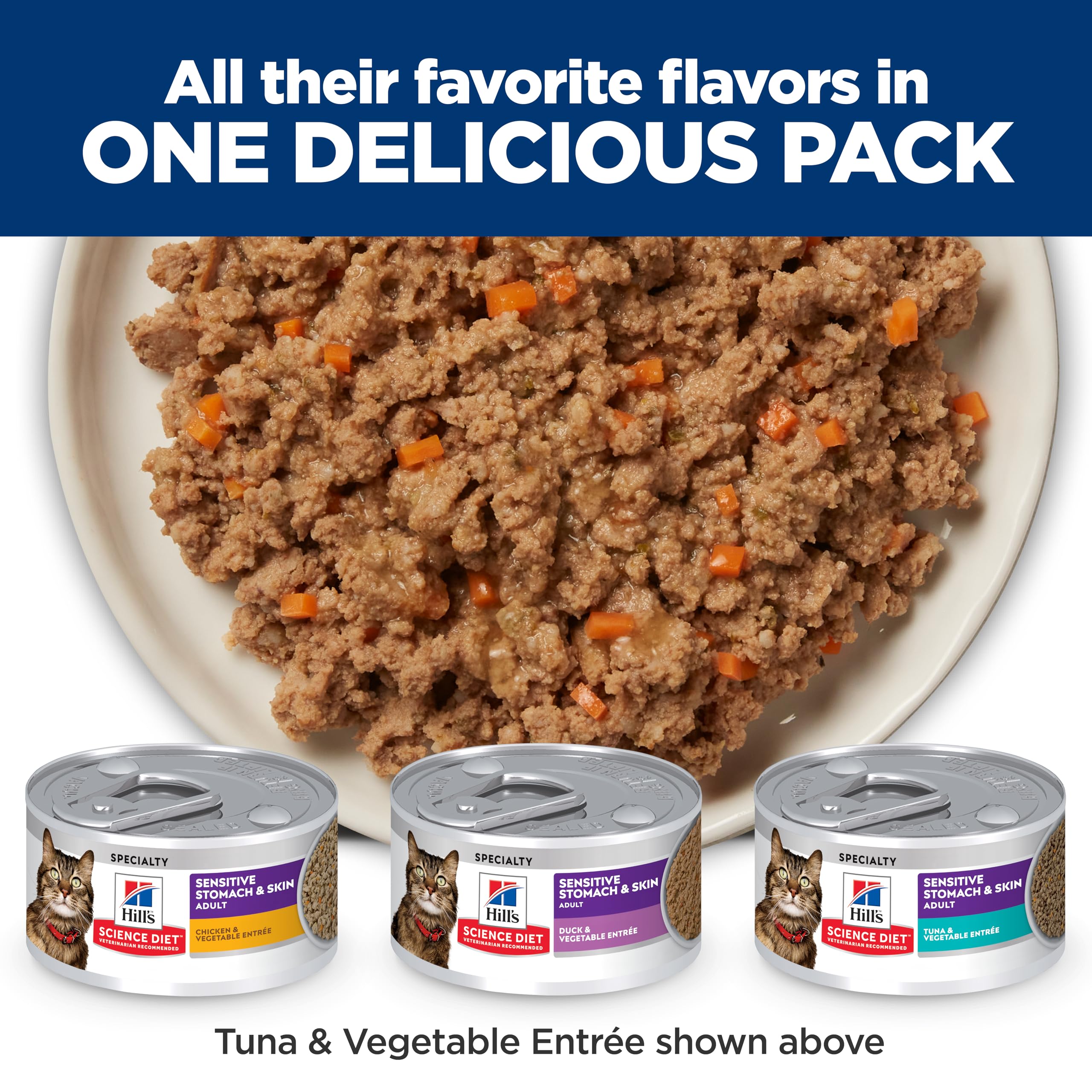 Hill's Science Diet chat mange – repas humide savoureux