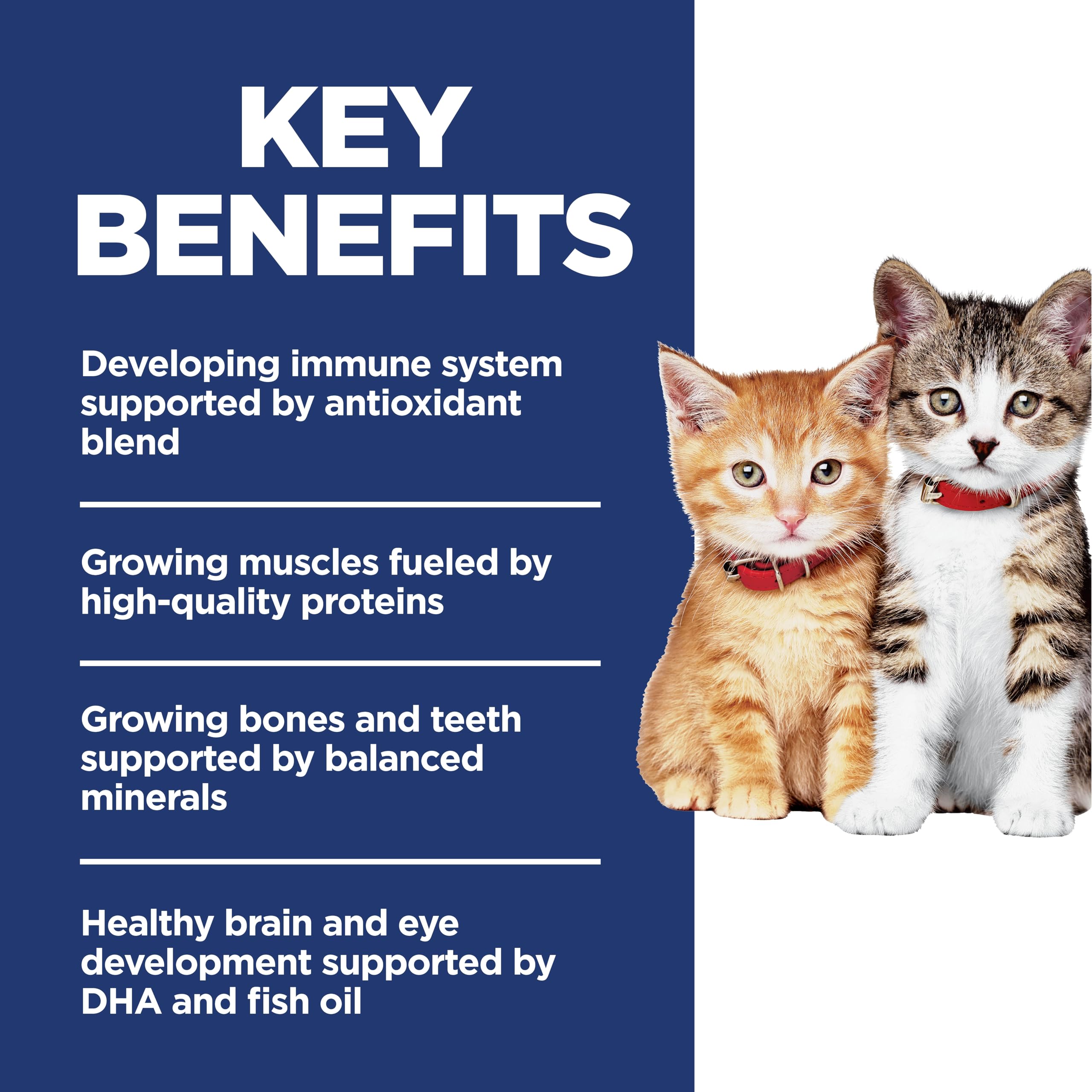 Hill's Science Diet Chaton DHA huile poisson – soutien cerveau et yeux