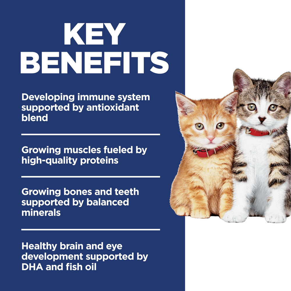 Hill's Science Diet Chaton DHA huile poisson – soutien cerveau et yeux