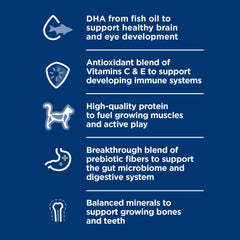 Hill's Science Diet Chaton - soutient digestion avec fibres prébiotiques