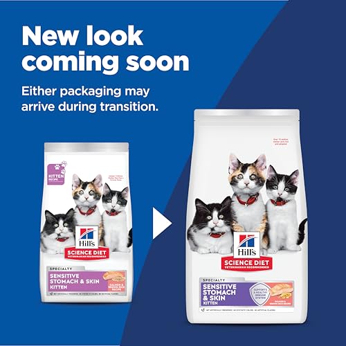 Hill's Science Diet chaton kibble-close-up : croquettes riches en protéines.