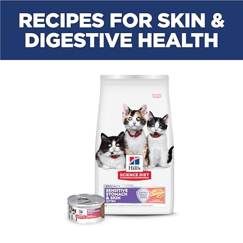 Hill's Science Diet chaton fabrication USA : ingrédients globaux fiables.