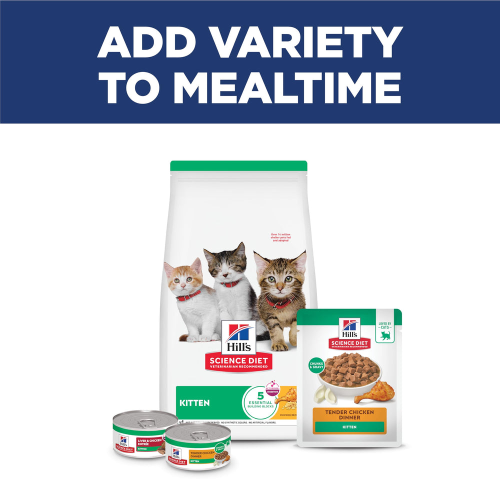 Hill's Science Diet chaton, marque recommandée par les vétérinaires américains.
