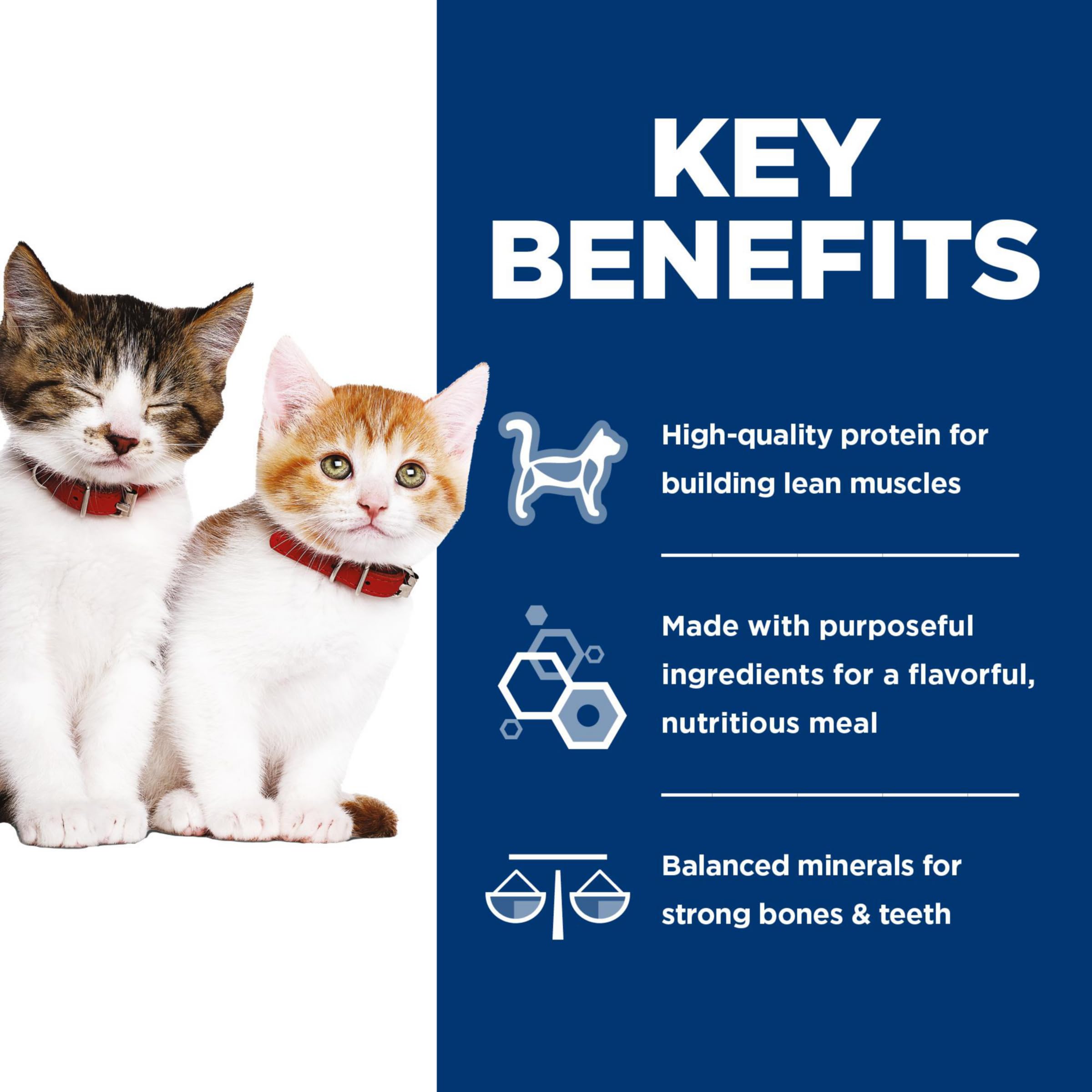 Hill's Science Diet Kitten – Protéines de haute qualité: développement musculaire potentiel.