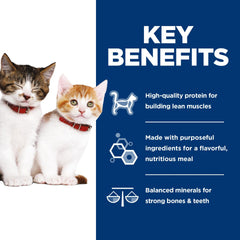 Hill's Science Diet Kitten – Protéines de haute qualité: développement musculaire potentiel.