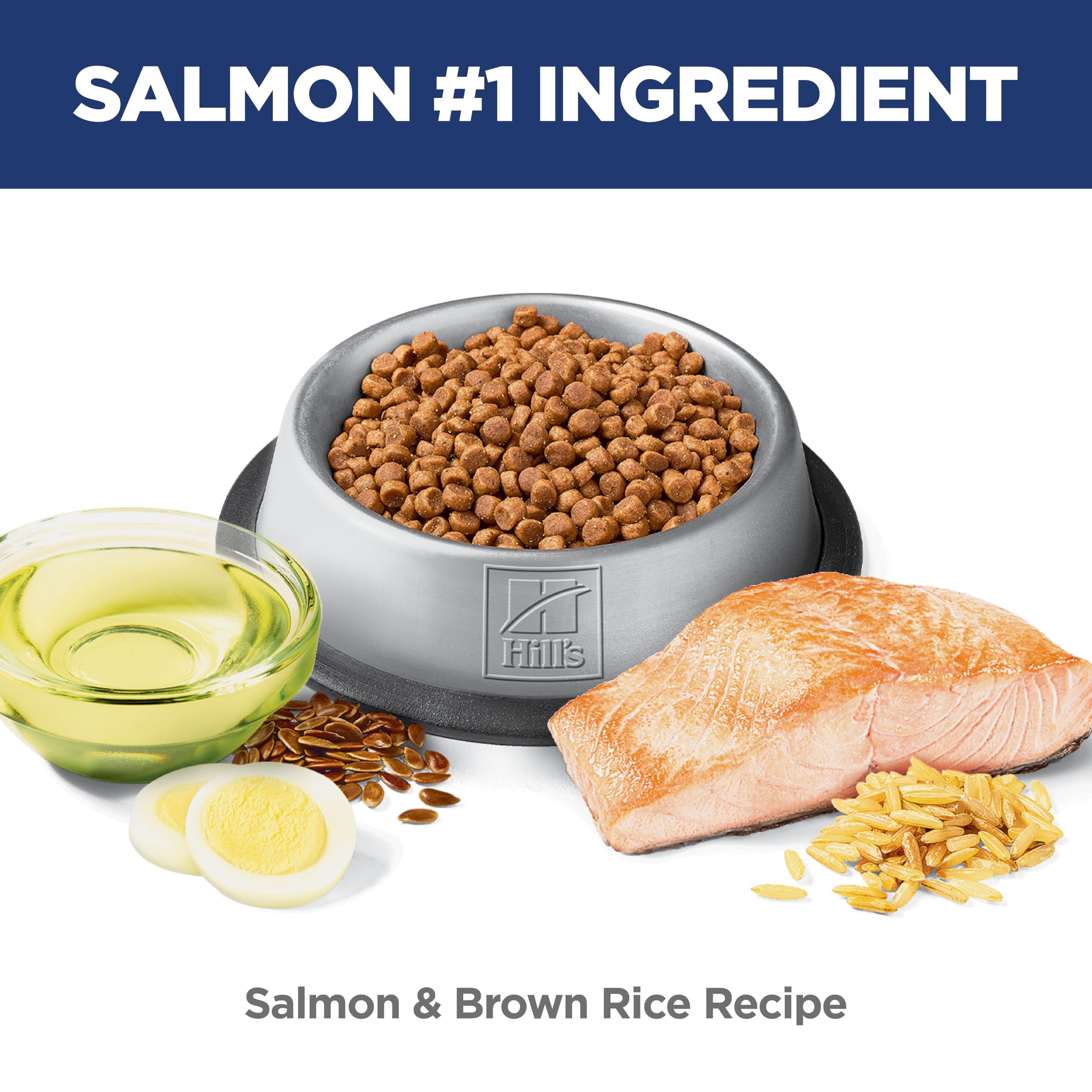 Hill's Science Diet chaton riz-brun : formulation équilibrée pour l'énergie.