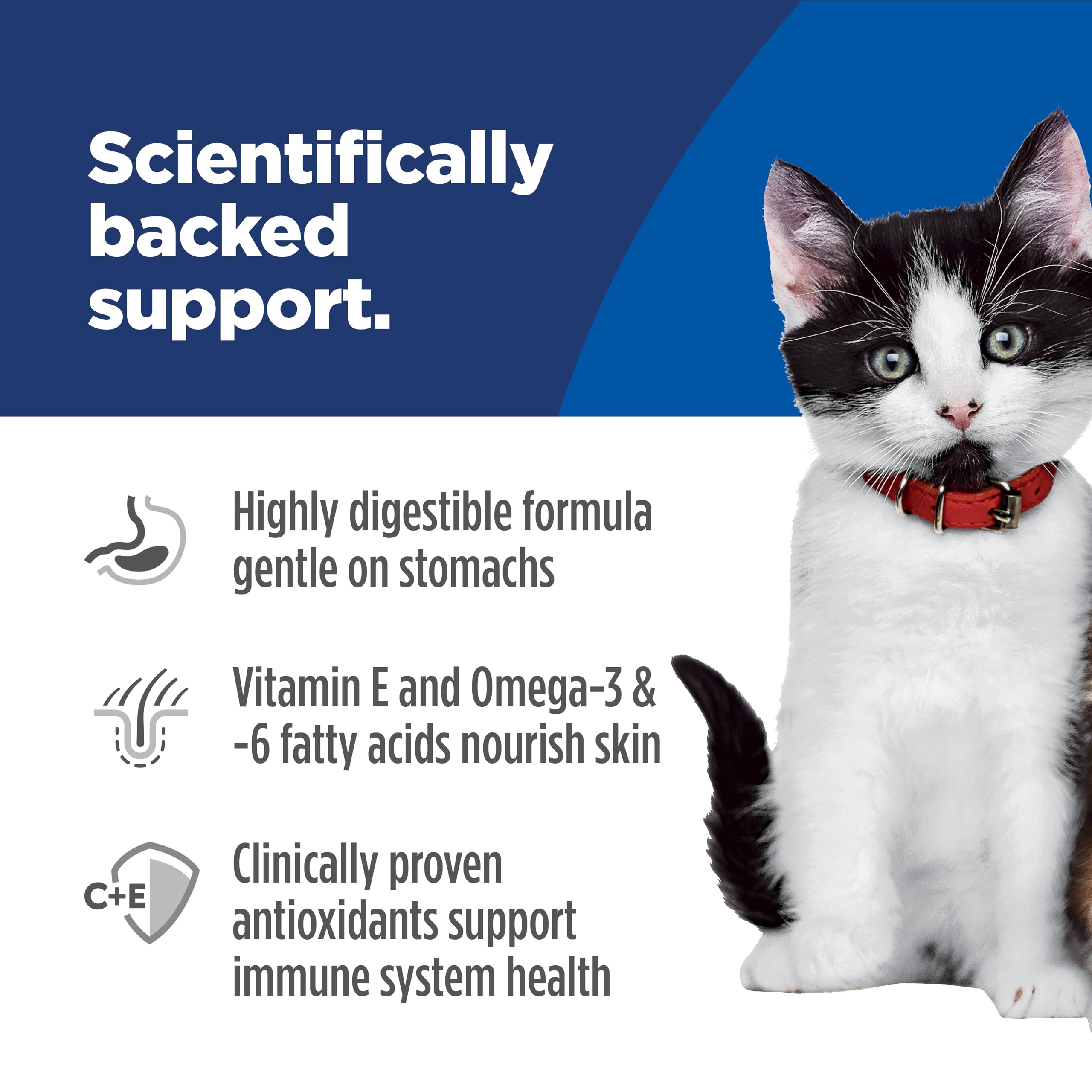Hill's Science Diet chaton vitamine C et oméga-6, peau saine.