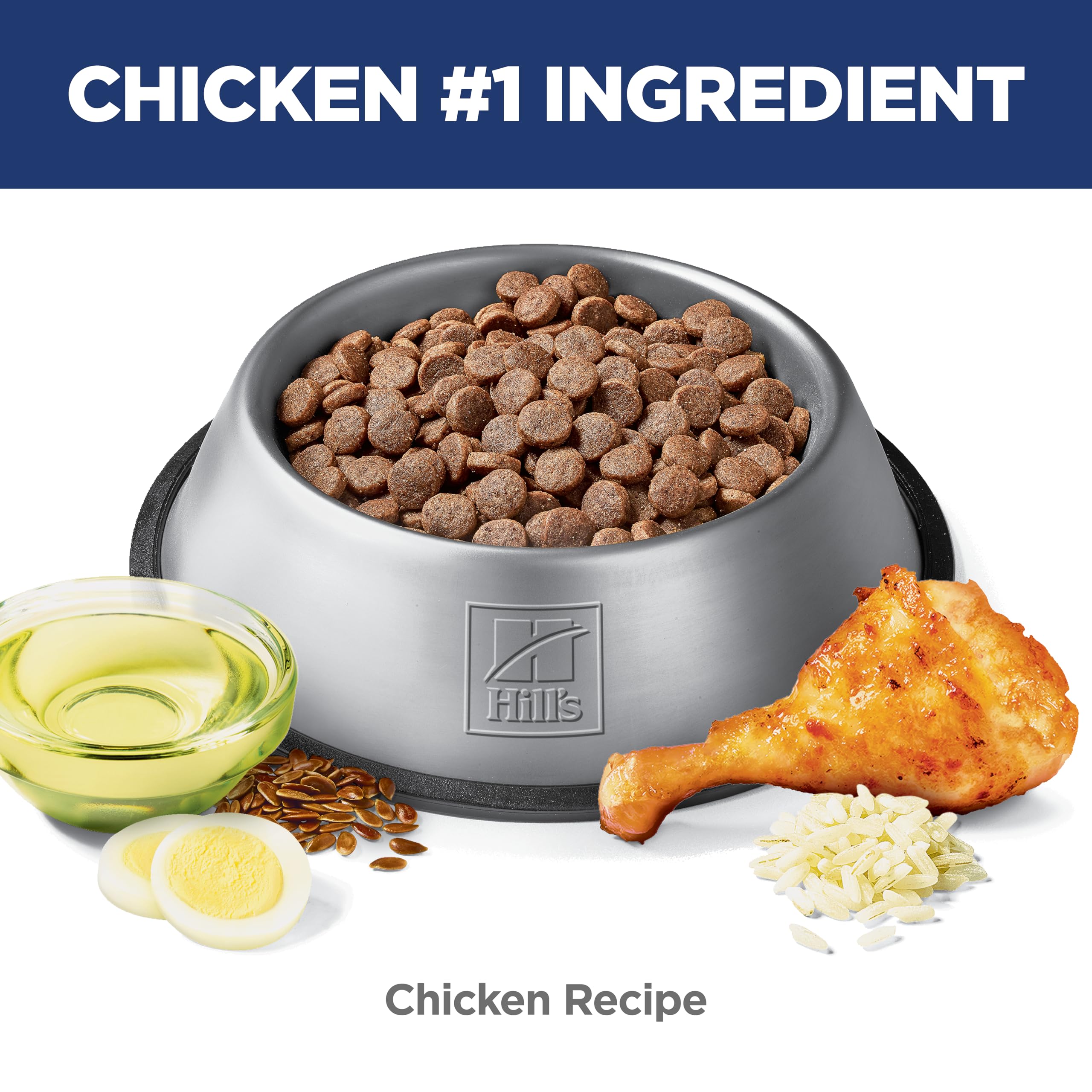 Hill s Science Diet bol degustation repas appétissant pour chien