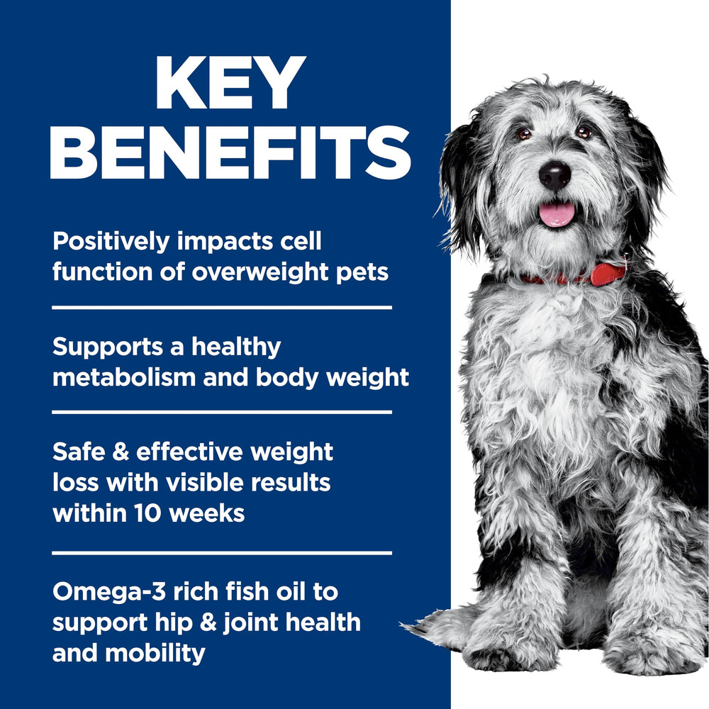Hill's Science Diet chien ingrédients naturels, sac 12 lb en premier plan