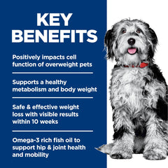 Hill's Science Diet chien ingrédients naturels, sac 12 lb en premier plan