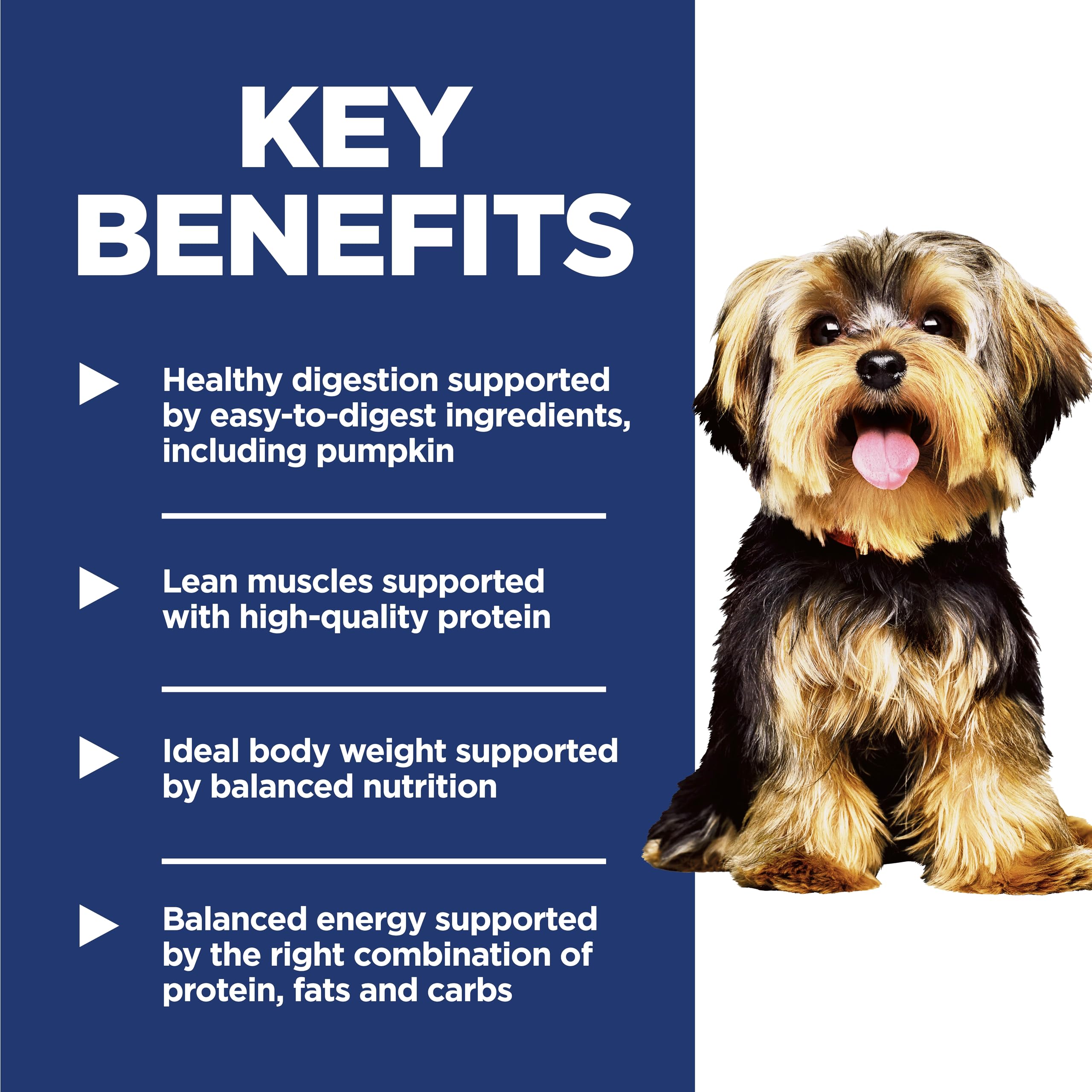 Hill's Science Diet Chien Mini ActivBiome+ pour digestion et immunité.
