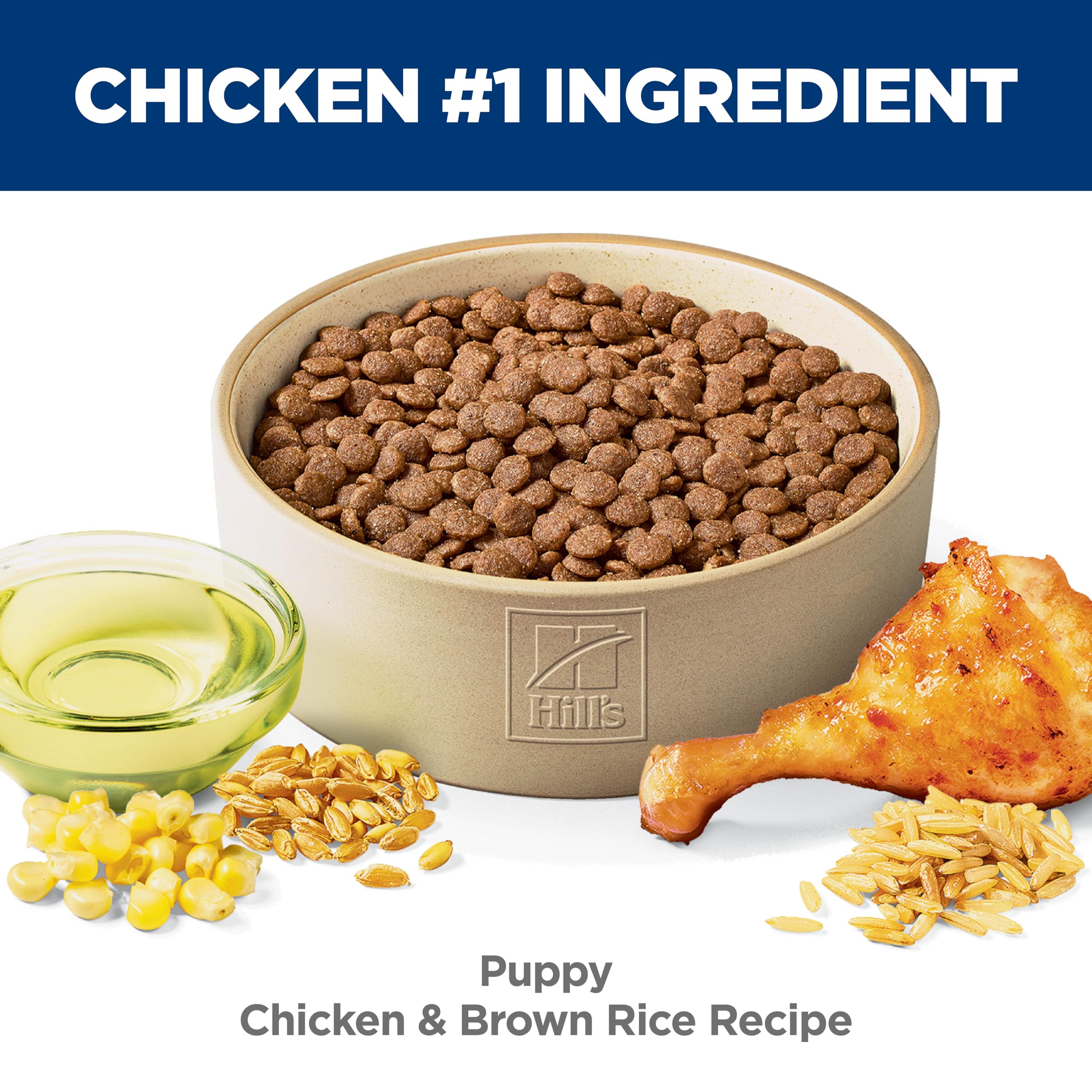 Hill's Science Diet chiot servies dans un bol, aliments appétents.