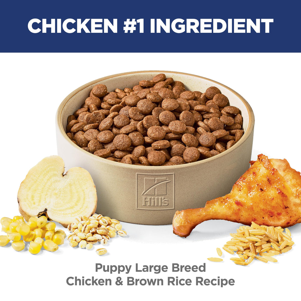 Hill's Science Diet Chiot Grande Race – bol d'alimentation équilibré pour mesures quotidiennes.