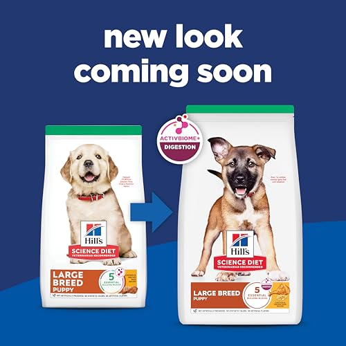 Hill's Science Diet Chiot Grande Race – croquettes savoureuses pour chiots actifs.