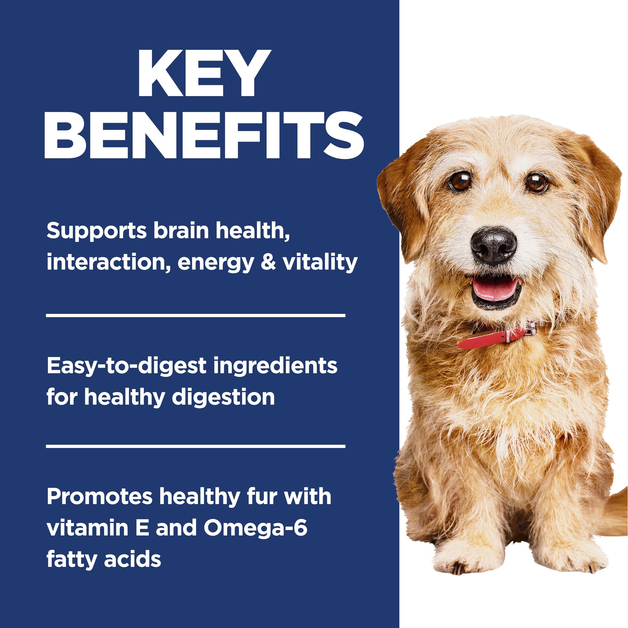 Omega-3 et Omega-6 dans Hill's Science Diet pour pelage sain et peau nourrie.