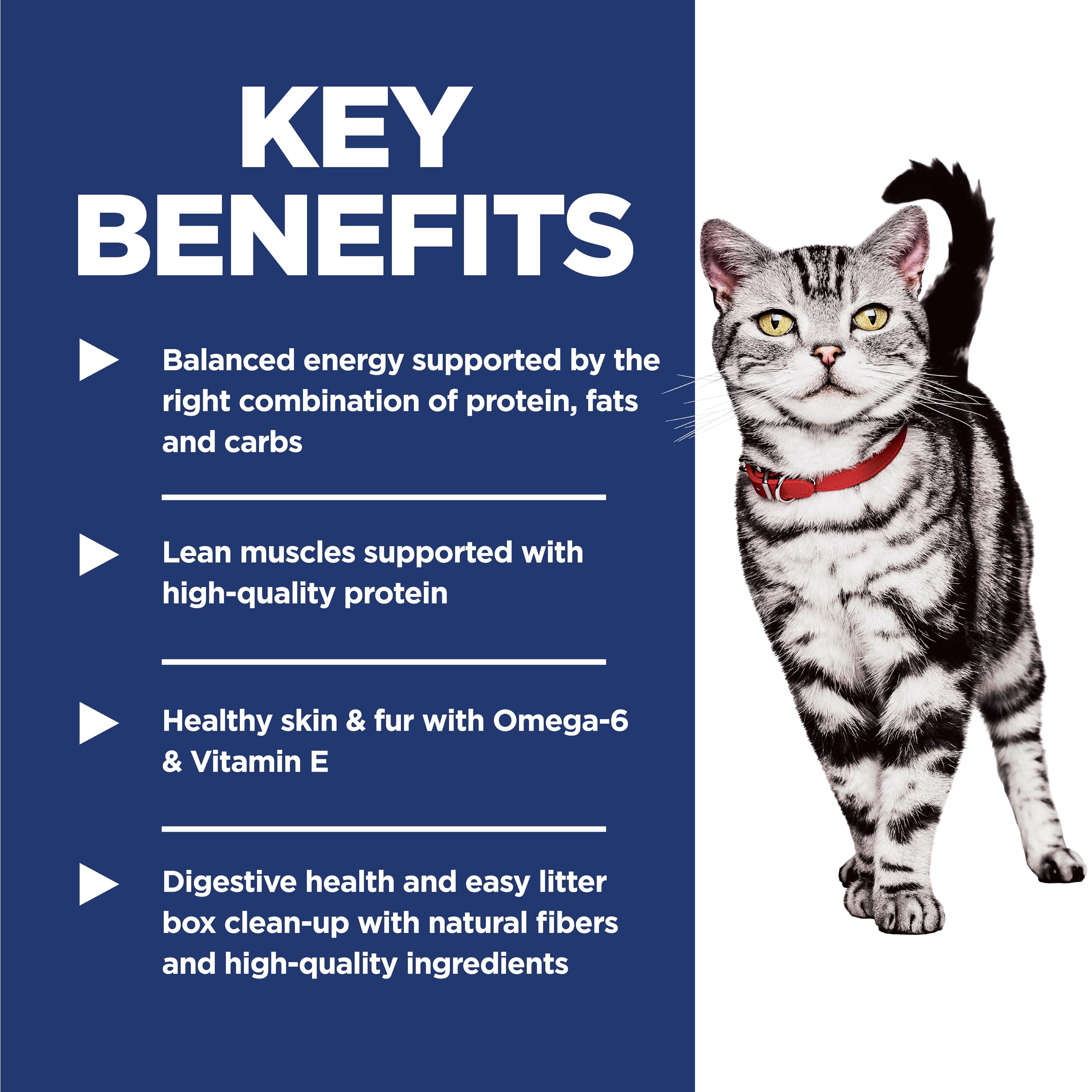Hill's Science Diet protéine haute qualité – muscles solides.