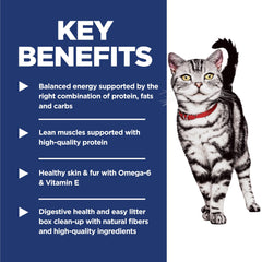 Hill's Science Diet protéine haute qualité – muscles solides.