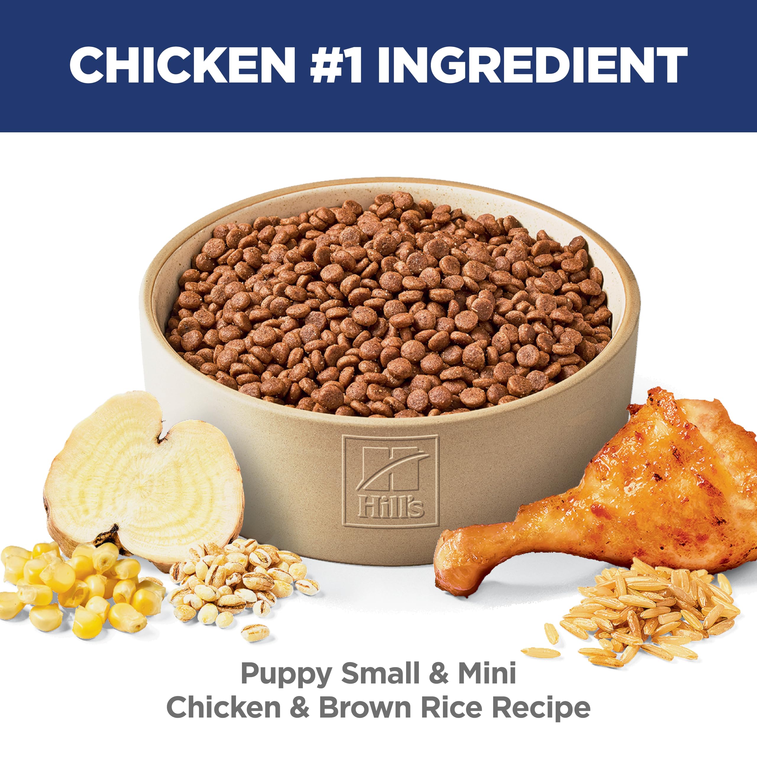 Hill's Science Diet chiot petit mini bol-repas — présentation appétissante.