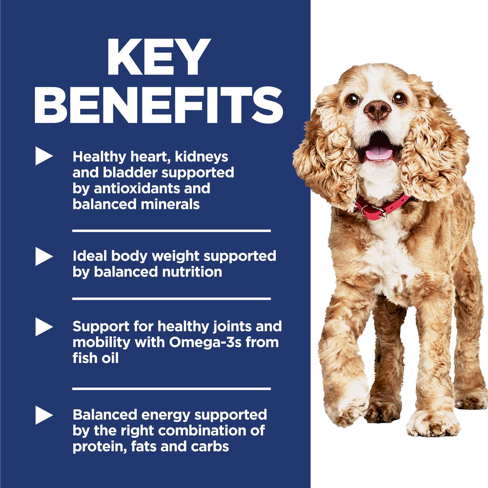 Hill's Science Diet Senior 11+ – ActivBiome+ mélange prébiotiques et antioxydants.