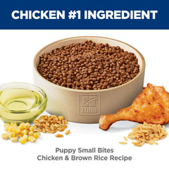 Hill's Science Diet kibble détail – grains entiers et citrouille pour digestion équilibrée
