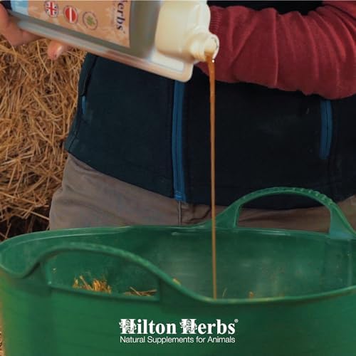Hilton Herbs Cushx : utilisation sur chevaux pour un soutien quotidien.