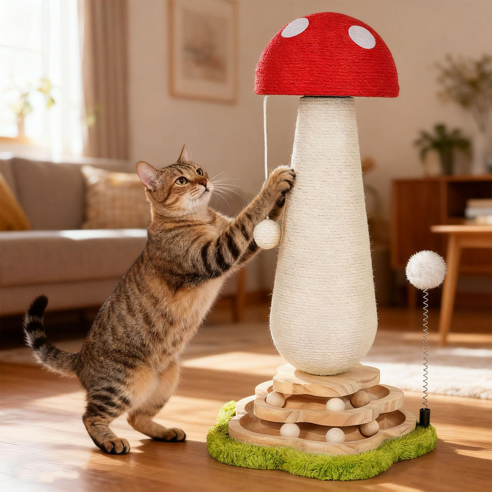 Himake idéal pour chat d’intérieur: divertissement sûr et sans dégâts
