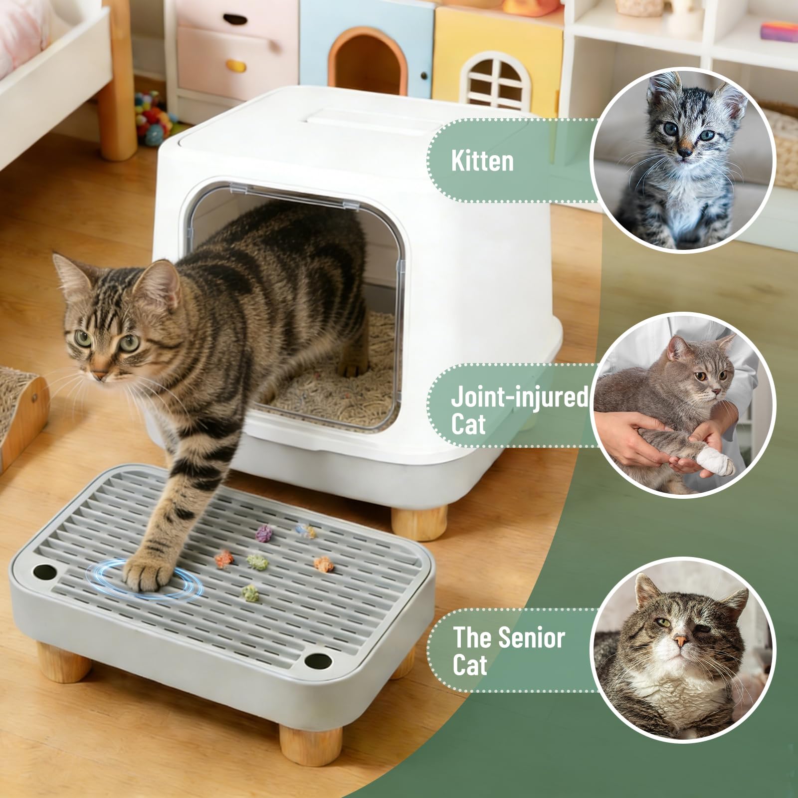 Himake rampe litiere ideale pour boites-automatiques.