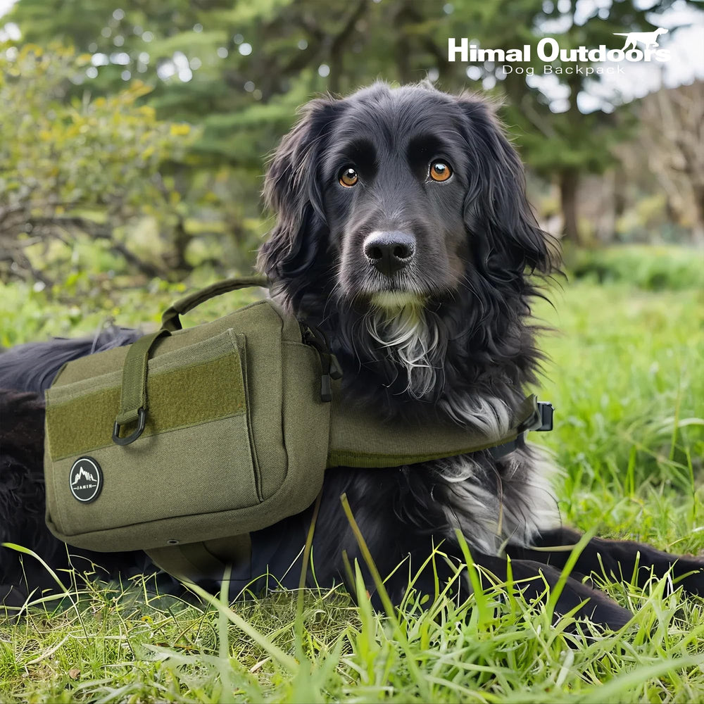 Himal Outdoors design stable et confortable pour grands chiens.