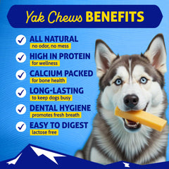 Himalayan Dog Chew beurre de cacahuète, goût riche et naturel.