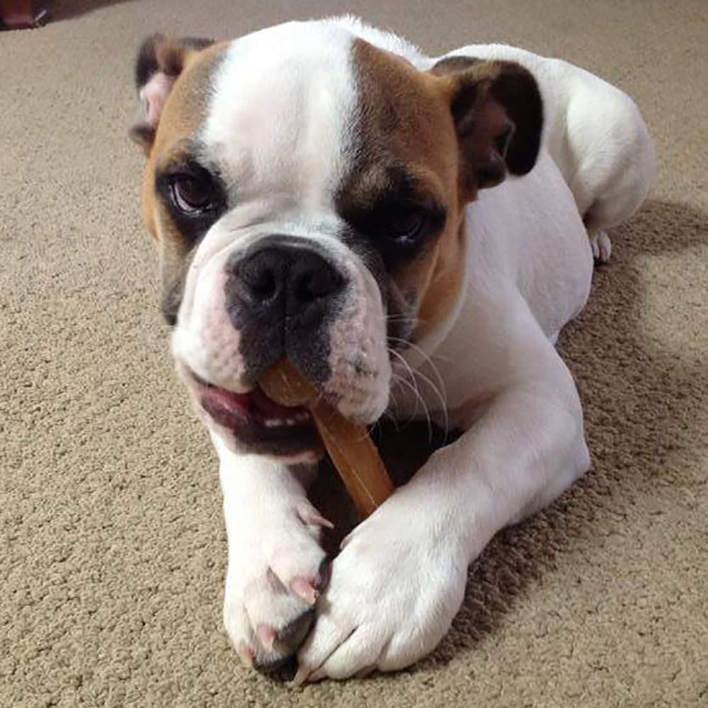 Himalayan Dog Chew Bone, emballage pratique pour garder le produit frais.