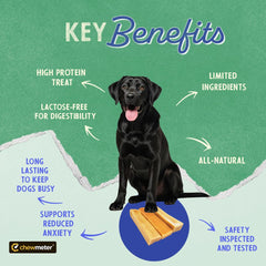 Chien en action mâchant Chewmeter Himalayan Yaky Cheese Chew, mastication prolongée.