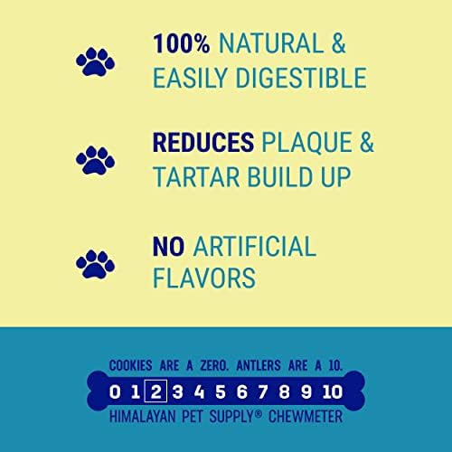 Churro sans lactose Himalayan Dog Chew: option adaptée à l'intolérance