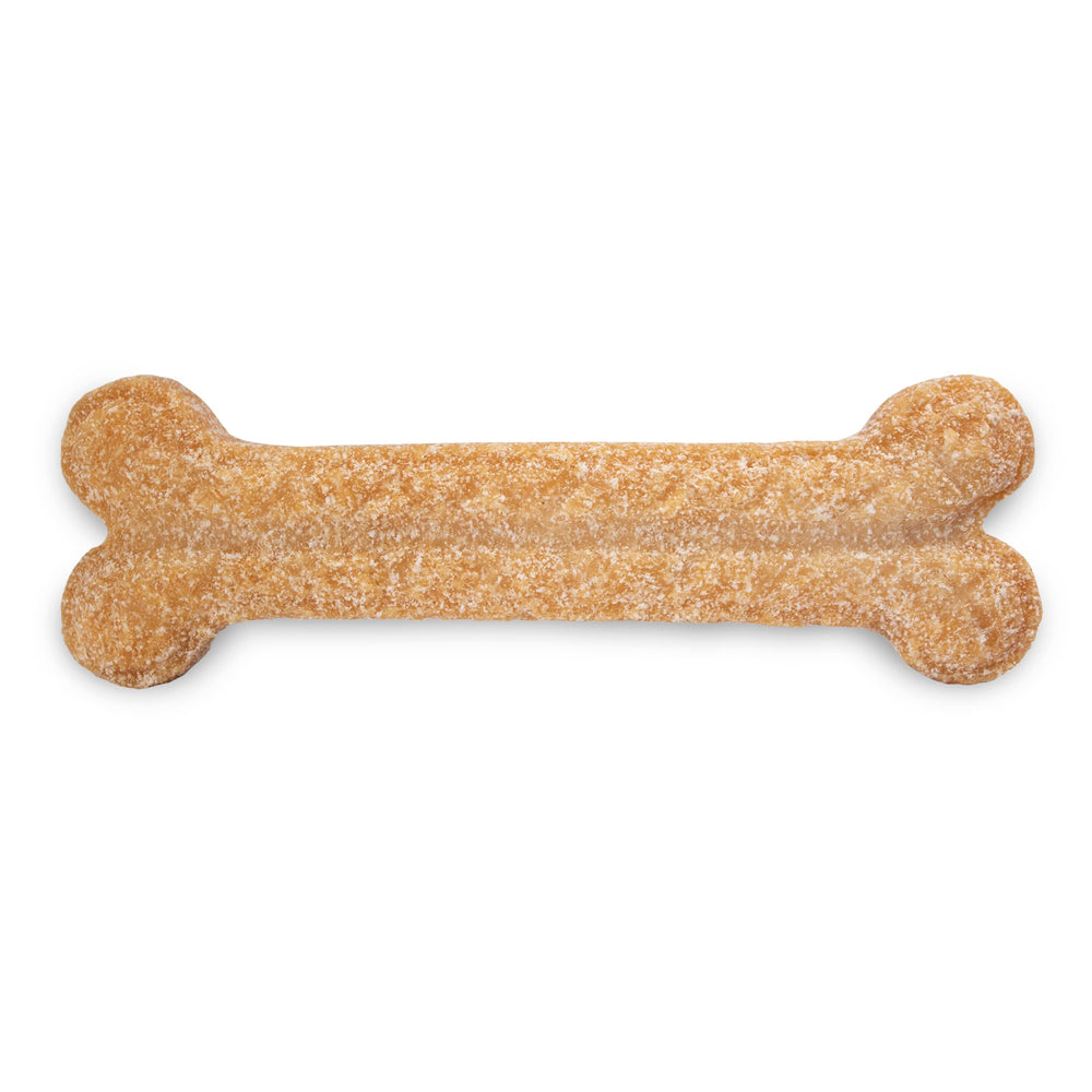 Himalayan Dog Chew Coconut Bone chien en train de mâcher, soutien dentaire potentiel.