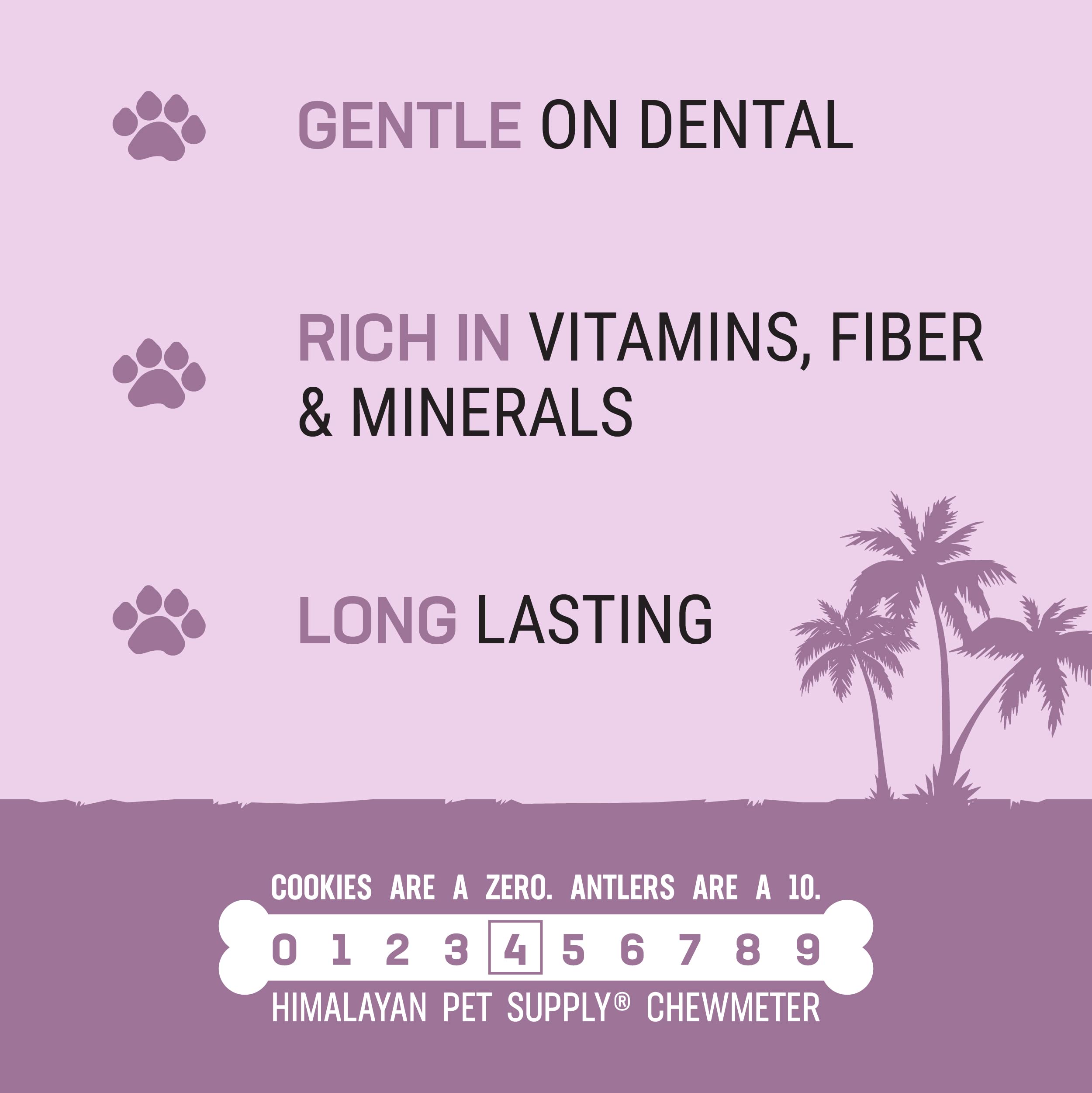 Himalayan Dog Chew Coconut Bone sans lactose et sans gluten.