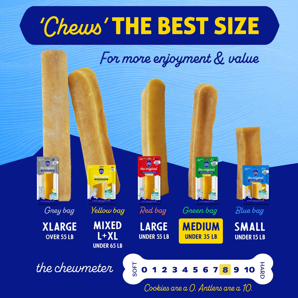 Himalayan Dog Chew fromage-yak-riche : goût authentique et satisfaction pendant les jeux