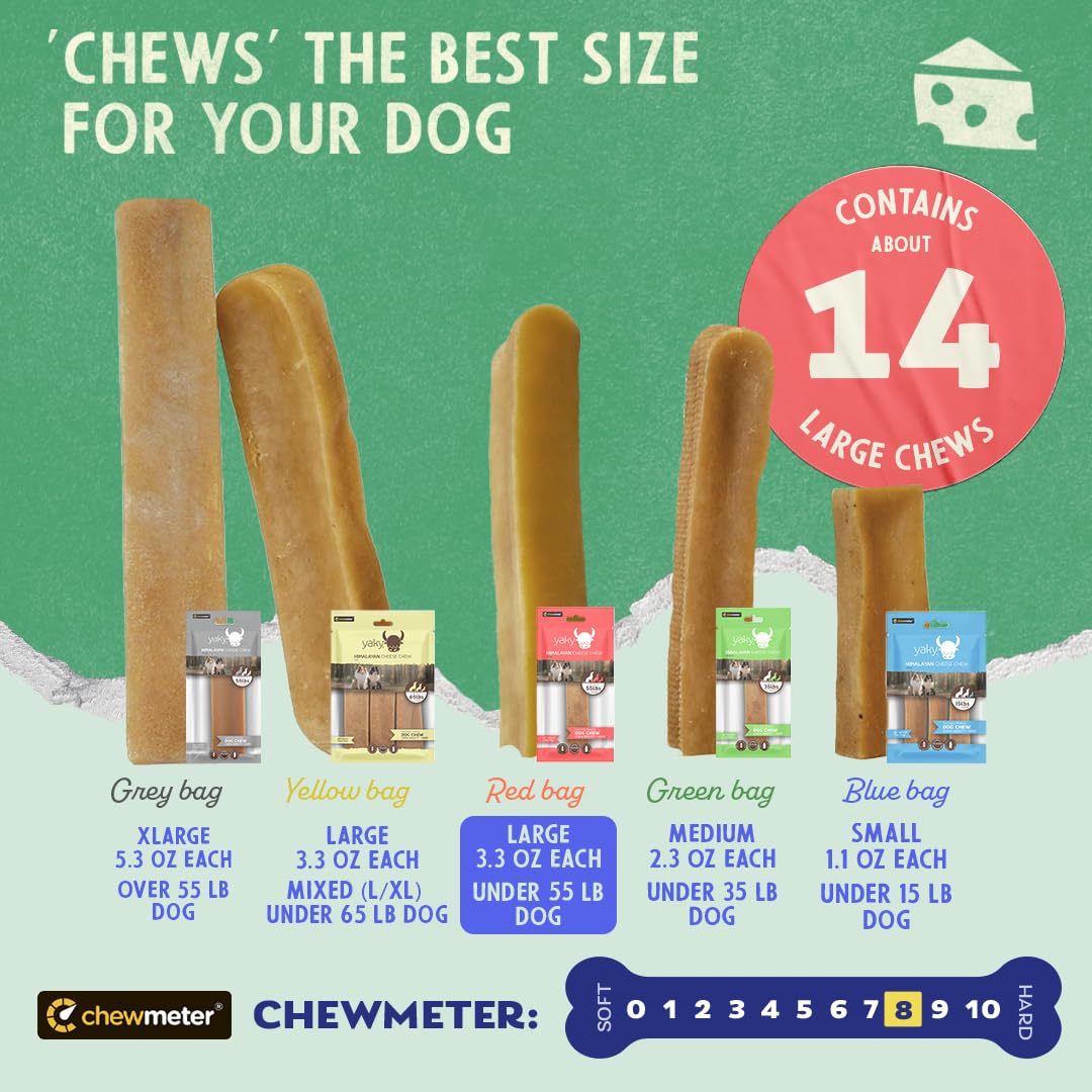 Gros plan sur le fromage Yak Chewmeter, dégustation naturelle et artisanale.