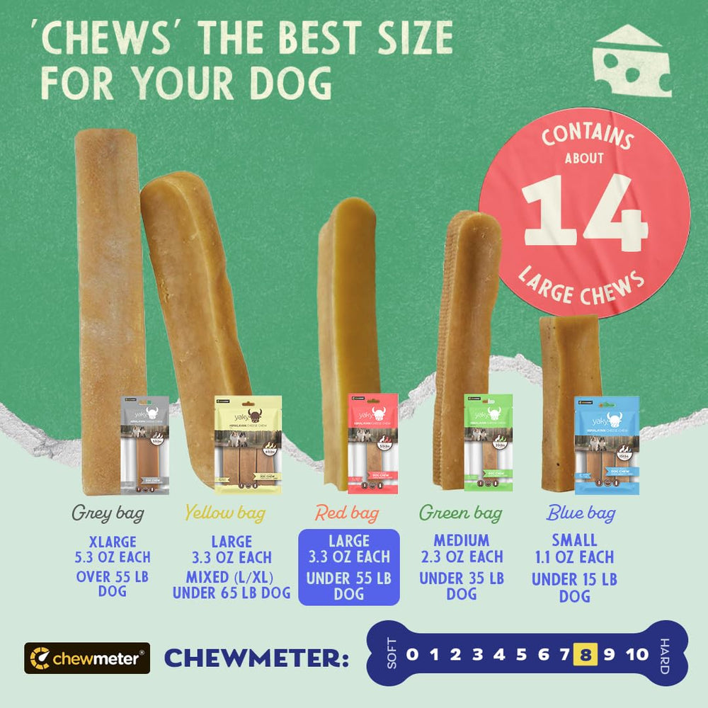 Gros plan sur le fromage Yak Chewmeter, dégustation naturelle et artisanale.