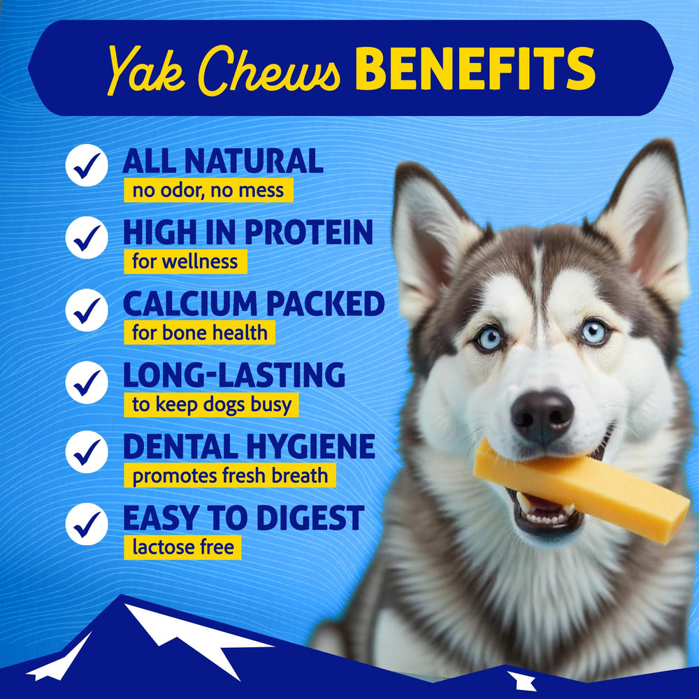 Himalayan Dog Chew ingrédients-naturels: composition simple et naturelle