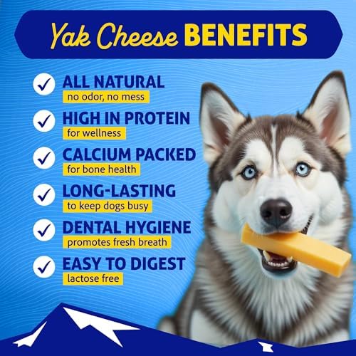 Friandise Himalayenne XXL pour gros chiens, texture dure et prolongée.
