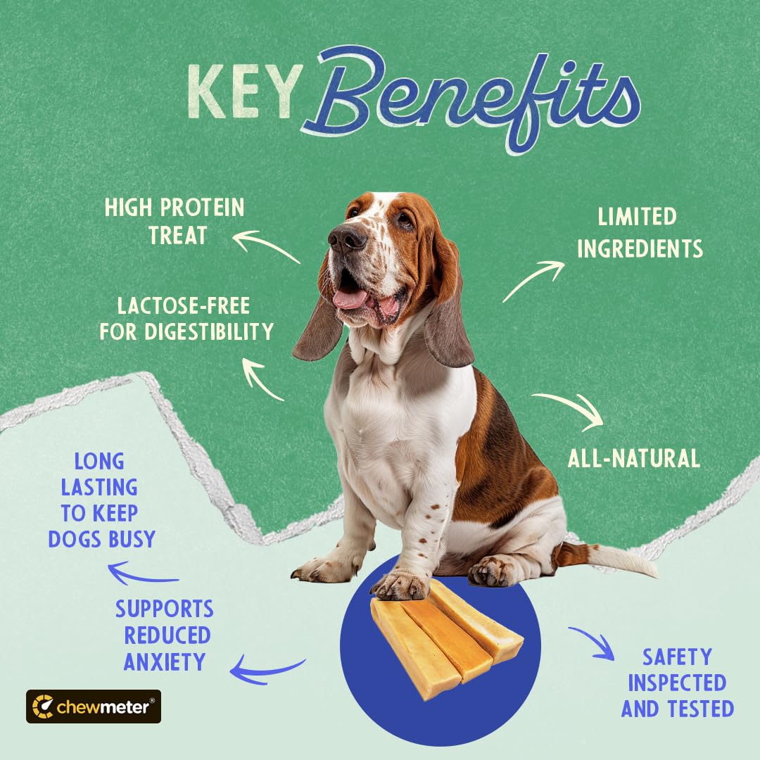 Himalayan Dog Chew : morceau dur parfait pour chiens actifs et patients.