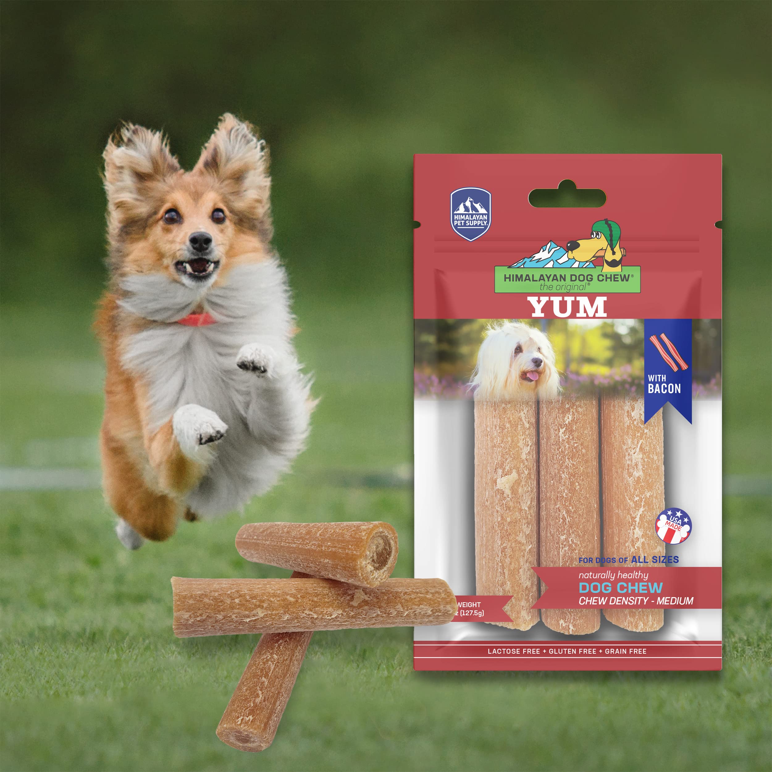 Himalayan Dog Chew, adapté à tous les chiens de 12 semaines et plus.