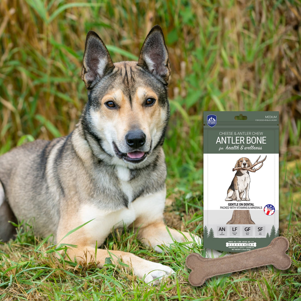 Pour tous les chiens, tailles et âges variés.