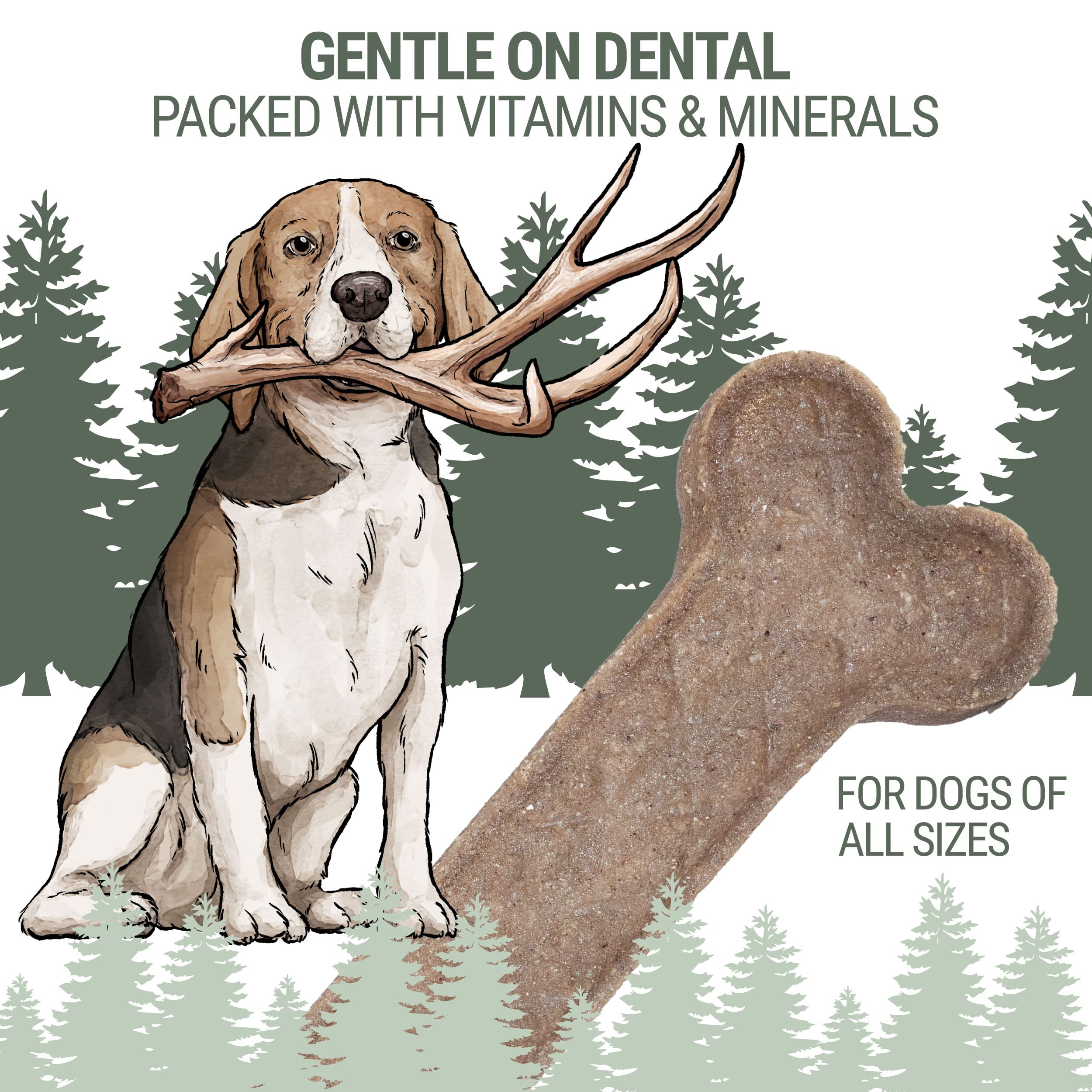 Sans lactose, digestion facilitée pour chiens sensibles.