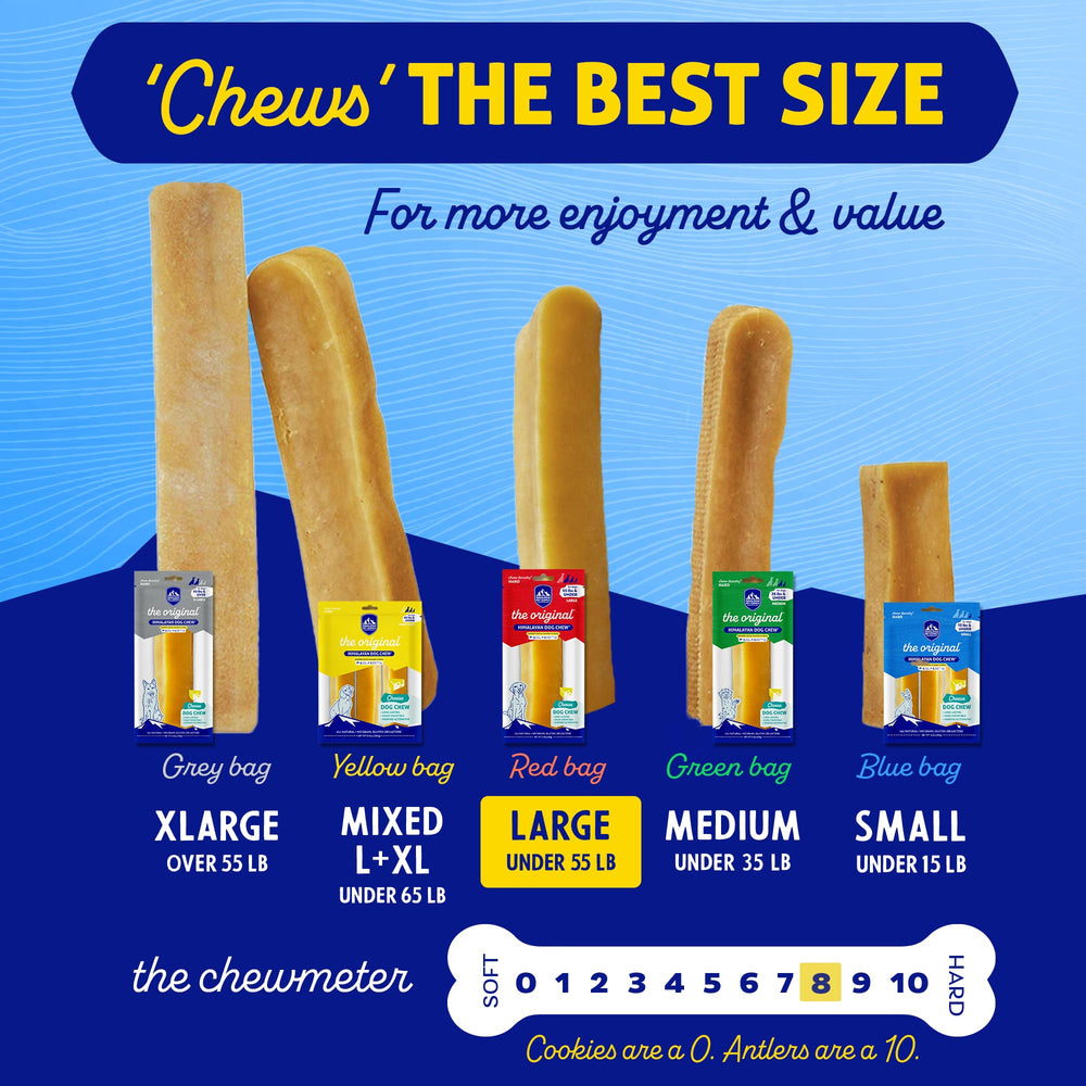 Himalayan Dog Chew sans lactose : plus facile à digérer.