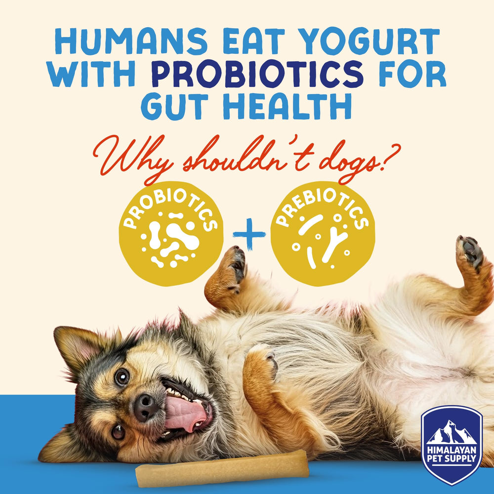 Himalayan Dog Chew Yogurt Sticks – équilibre digestif potentiel pour les chiens.