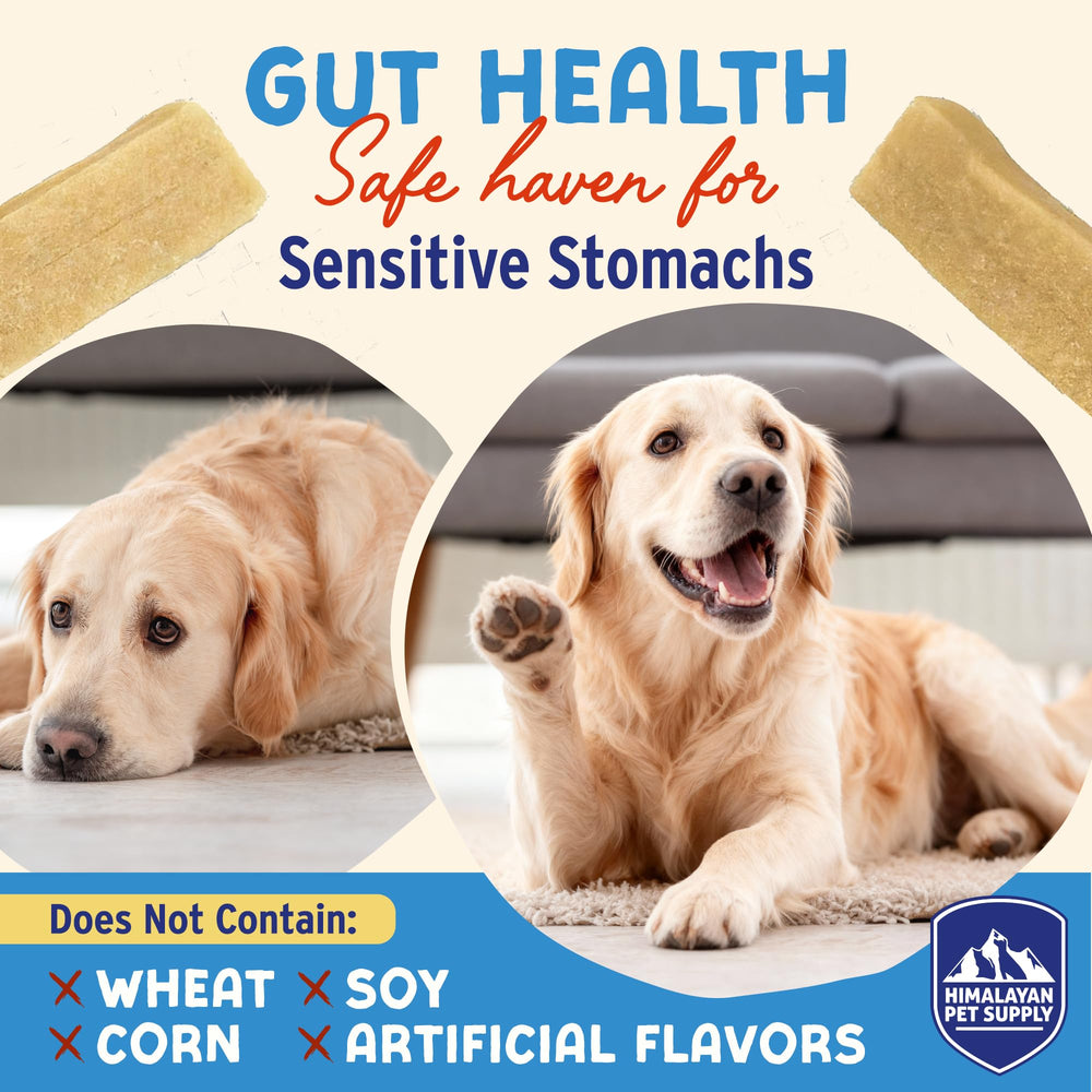 Himalayan Dog Chew Yogurt Sticks – fabriqué en Amérique, normes de qualité.