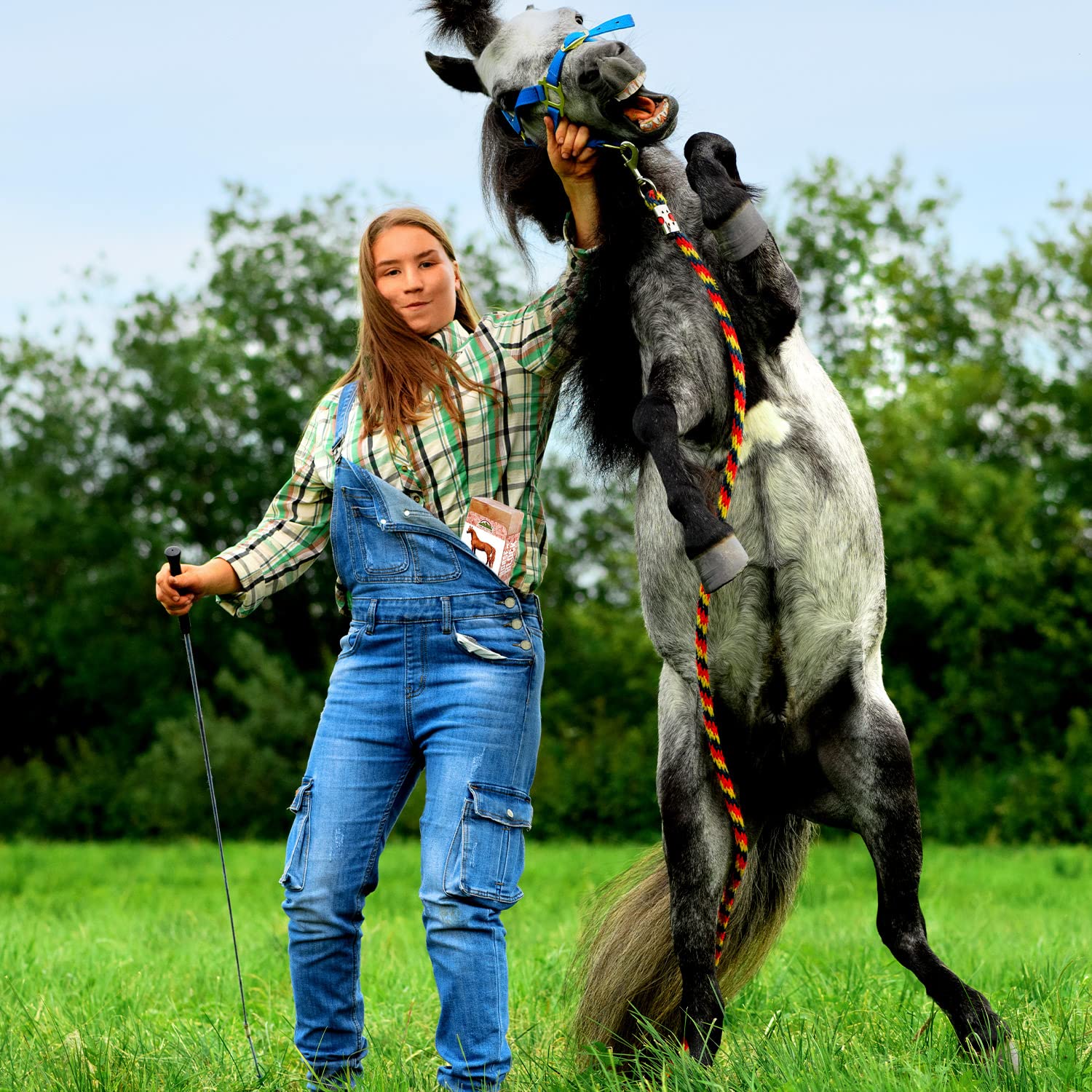 Himalayan Nature accessoire-sel, alimentation pour chevaux et petit bétail