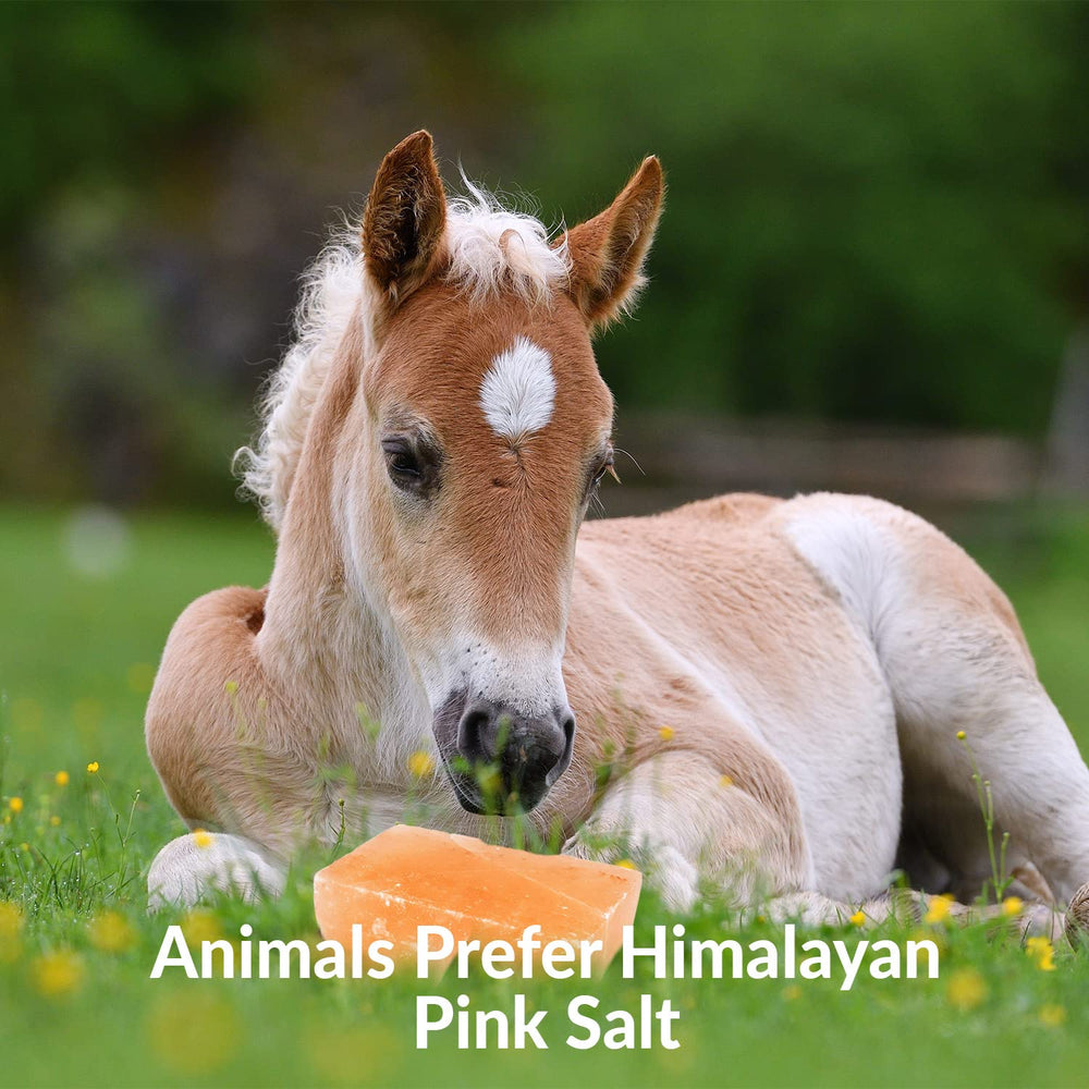 Himalayan Nature bloc-sel-roches, hydratation et soif naturelle