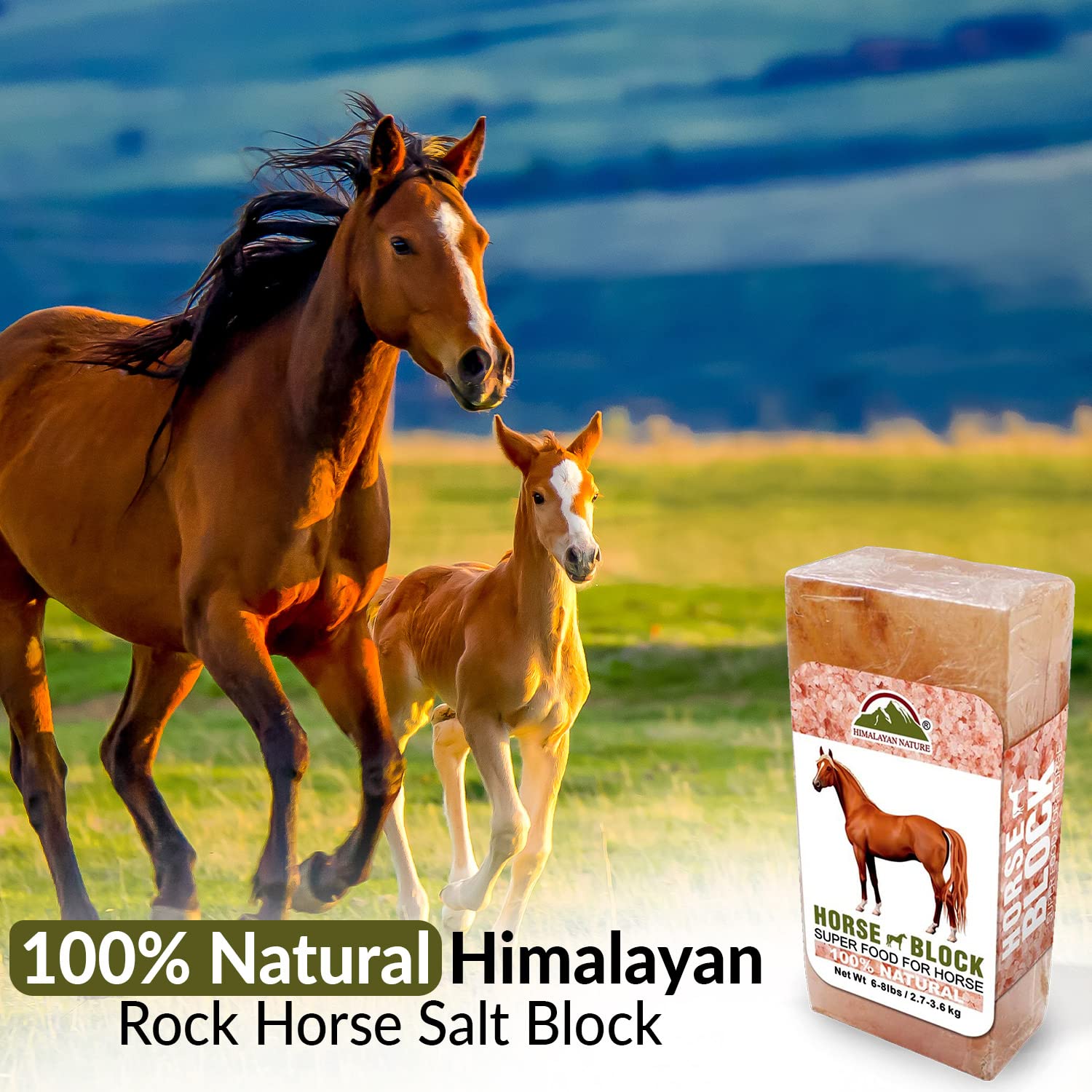Himalayan Nature pack-deux-blocs, solution naturelle durable